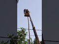 Tebang Pokok Kelapa Guna Skylift Shorts