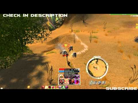 Guild Wars - A/E Elite Warrior Tome