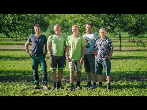 Nüsse als neues Standbein etabliert: Fünf Landwirte produzieren Walnüsse im Werdenberg