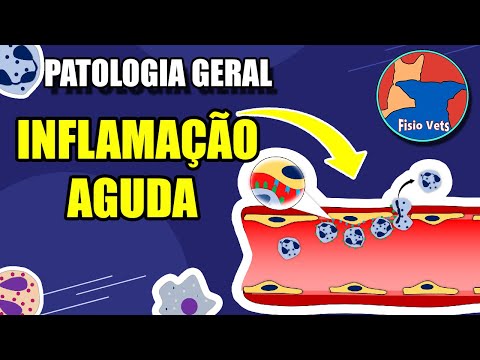 Inflamação aguda - fenômenos vasculares e celulares - Patologia Veterinária