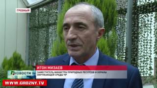В 2017 году в  горных районах Чечни  пройдут масштабные мероприятия по посадке  молодого леса