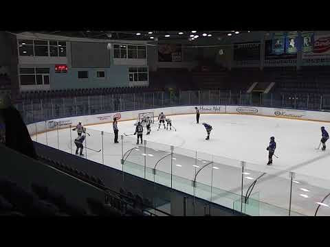 Химик 2004 - Пингвины 2004 17.12.2017