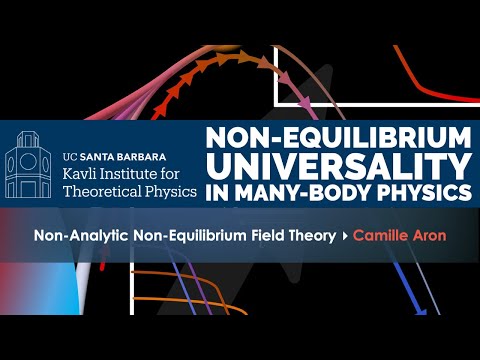 Non-Analytic Non-Equilibrium Field Theory ▸ Camille Aron