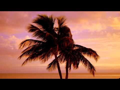 download lagu mp3 mp4 Crocketts Theme Guitar, download lagu Crocketts Theme Guitar gratis, unduh video klip Crocketts Theme Guitar