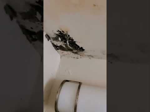 EXPOSED: WINN Residential LP - WINN Companies( Cooperate  Boston MA) property and tenant neglect.