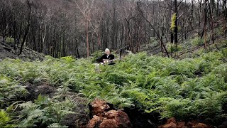 Atlas Genius - Great Southern Land (On My Own Series)