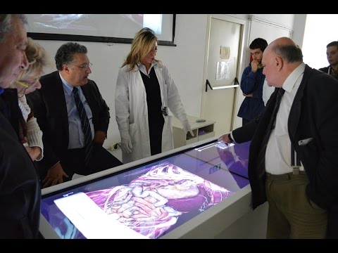 Anatomage Table dissezione virtuale per studiare l'anatomia umana