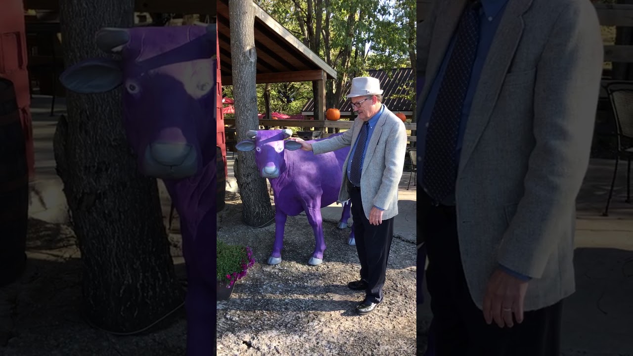 I’ve Never Seen A Purple Cow
