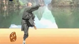 Shaolin big penetrating kung fu (tong bi quan) A