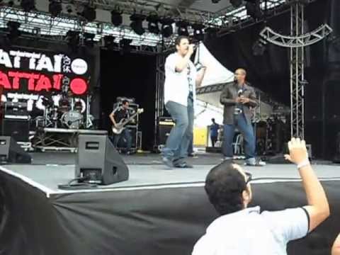 banda gattai anime friends 2013 pegasus fantasy