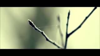 Download lagu Yann Tiersen & Neil Hannon -  Les Jours Tristes mp3