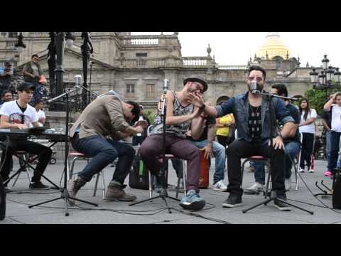 Palomazo Mirala Miralo - Los Pantufla