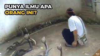 Download lagu Nggak ada Ngeri²nya, Penonton Takut Dianya Malah Santai Ngadepin Hewan Berbahaya #YtCrash mp3