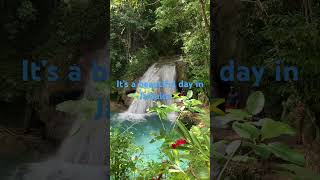 Beautiful Sunday morning. Island Gully Falls-Blue Hole.日曜日の朝、ブルーホールは最高過ぎた#jamaica #bluehole #ジャマイカ