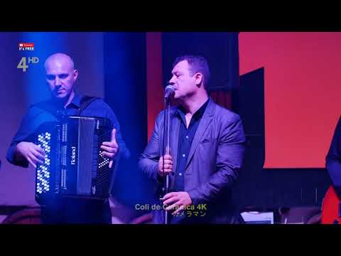 Steaua di Vreari - Live Beraria H - Carvanari marats