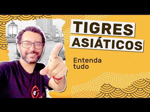 All about the Asian Tigers and New Asian Tigers | JeanGrafia |