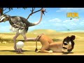 Poached Egg Leon The Lion 60 Compilation Crazy Animals