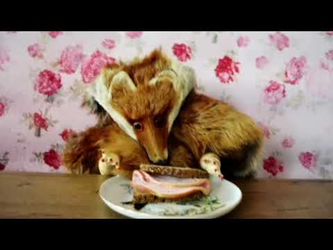 "The mythical tale of the Tollundbog sisters" short film