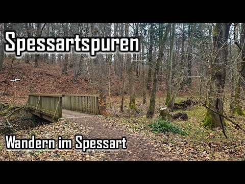 Spessartspur "Langenselbolder Buchbergrunde" Wandern im Spessart