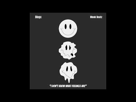 Bingx & Mook Beatz - I Don't Know What Feelings Are