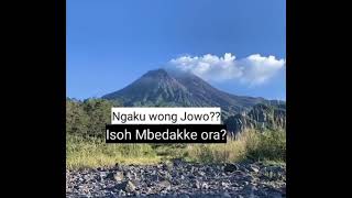 Download lagu kebo giro status wa #kebogiro  #statuswa #kata mp3