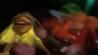 FRANK ZAPPA -- MY GUITAR WANTS TO KILL YOUR MAMA