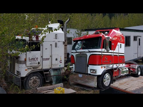 Saving a VIT K100 Kenworth. IS IT TOO FAR GONE?