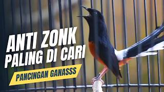 Download lagu MURAI BATU GACOR FULL ISIAN TEMBAKAN MEWAH KRETEKAN GANAS AMPUH MEMANCING EMOSI MURAI BATU mp3 Download lagu MURAI BATU GACOR FULL ISIAN TEMBAKAN MEWAH KRETEKAN GANAS AMPUH MEMANCING EMOSI MURAI BATU mp3