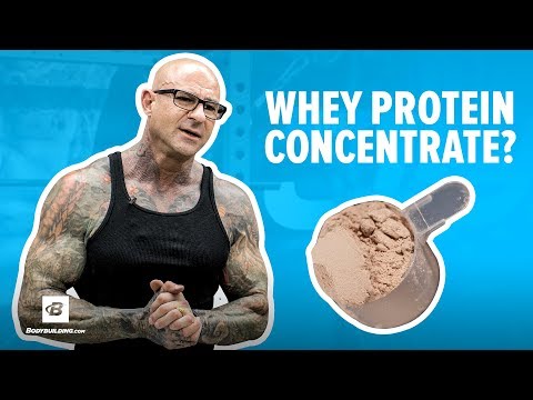 What is whey protein concentrate
