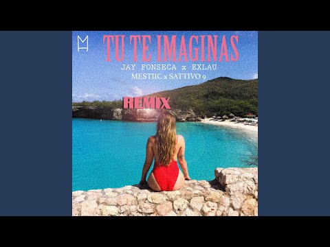 Tu Te Imaginas (Remix)