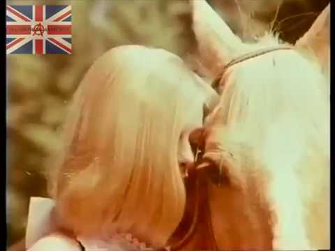 Wood Nymph Hair Lightener Advert 1967