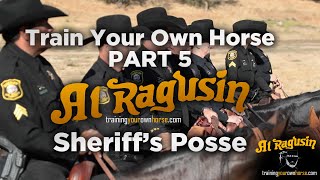 Guadalupe County Sheriff’s Mounted Posse — Double Reins Experiment