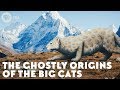 The Ghostly Origins of the Big Cats