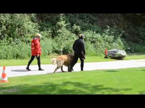 Travail au sol niveau B Luxembourg