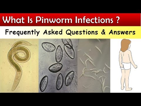 az enterobiasis pinworms