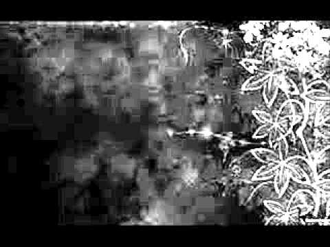 Elshad Xose & Mir Yusif & Samira   Dushunce