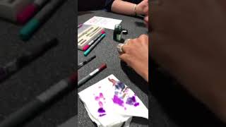 Flex Nib Fountain Pen