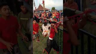 Download lagu DETIK DETIK BANTENGAN MULAI KALAP BIKIN BAR BAR PENONTON#bantengan#shorts mp3