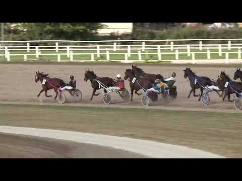 2020.09.26. 07. futam - PALMYRA HENDIKEP