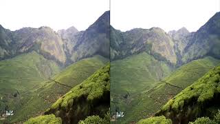 preview picture of video 'Munnar Trip : In the Tea Plantation (3D, CC BY)'
