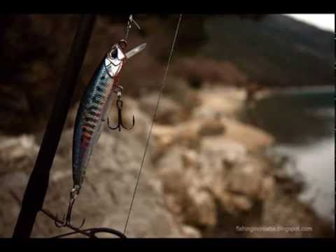 DUO Tide Minnow 75S Action