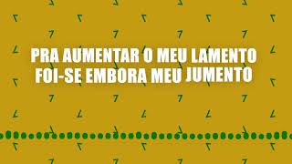 Mamonas Assassinas - Jumento Celestino (Lyric Video)