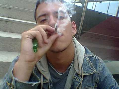 ROBER SC - INTRO NIDO