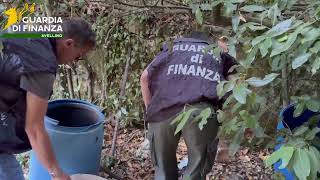droga-nel-montorese-blitz-della-guardia-di-finanza