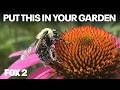 Michigan Native Plant Guide | Brother Nature