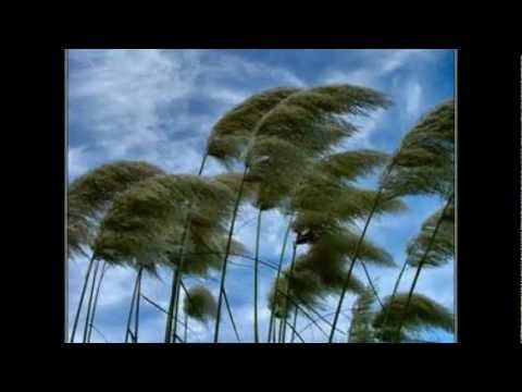 Senikakala Domoni ( Nomuni Loloma )