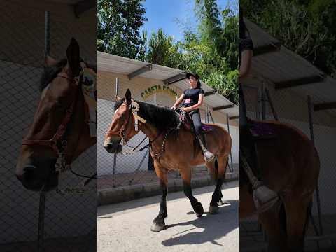 q belleza  el caballo q me encontré y su elegante amazona 🐎✨👏San Carlos Antioquia