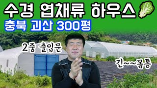 2중 출입문에 옵션의 향연!_엽채류 하우스(대단하다는 생각이 드는 곳) #비닐하우스 견적 #엽채류 #수경재배