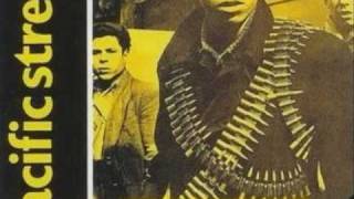 PALE FOUNTAINS always on my mind 2005 version