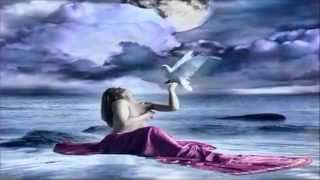 Un charquito de estrellas !!!! ALEJANDRO SANZ